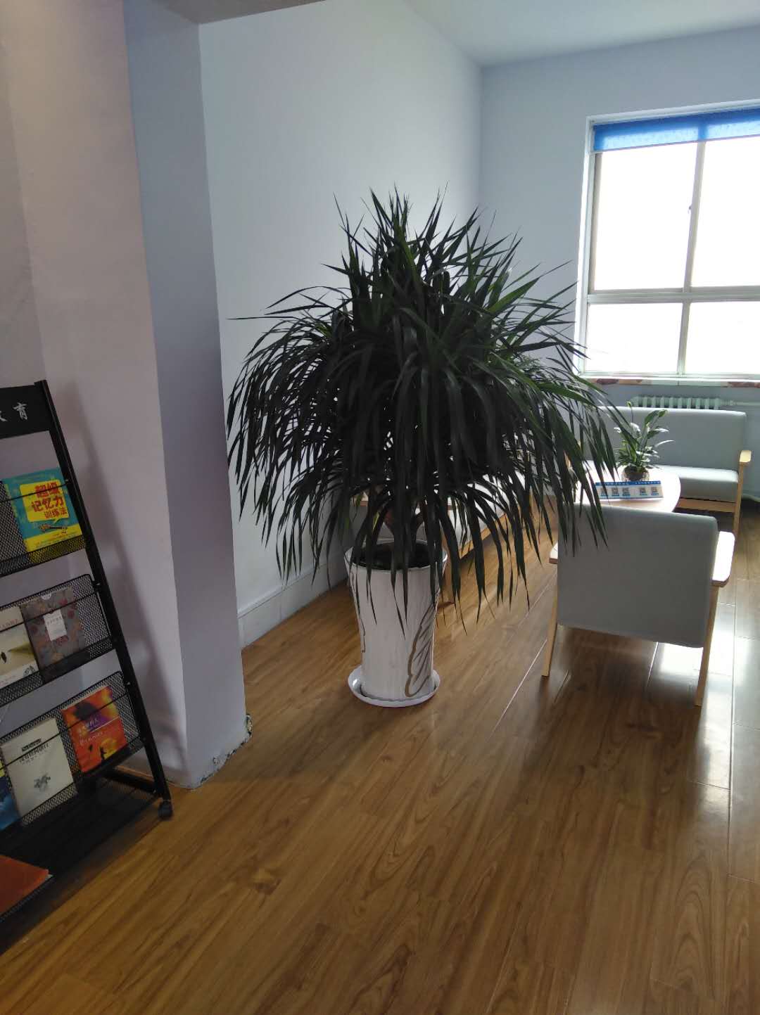 学思行教育办公室