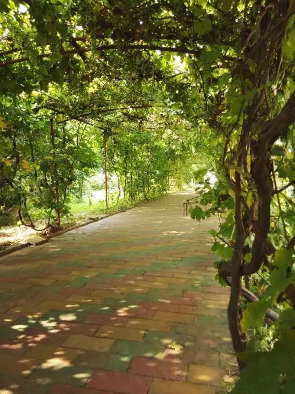 北京新瑞和善文化有限公司，预就业.教育扶贫资助计划校园美景