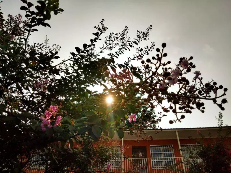 北京新瑞和善文化有限公司，预就业.教育扶贫资助计划校园美景