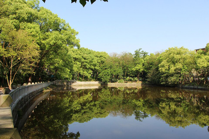 qq图片20180507162639