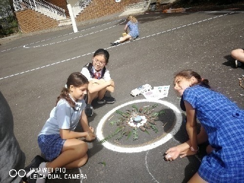 研学旅行 | 澳洲教育体验营