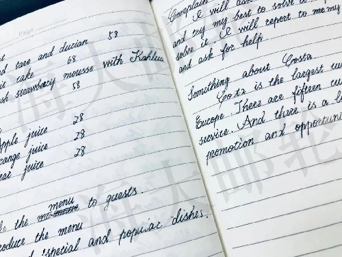 中国海洋大学国际邮轮海乘