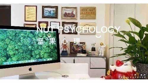 坚果心理视力恢复催眠师项目招商