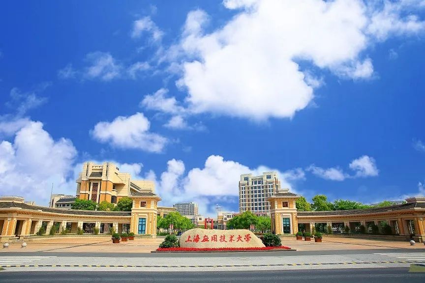 上海应用技术大学国际教育中心学士桥.jpg