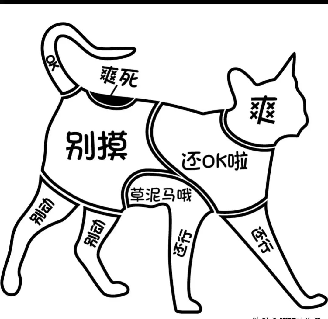 微信图片_20210910102021.jpg 微信图片_20210910102021.jpg