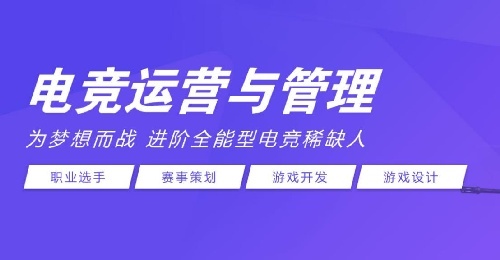 银川新华互联网科技学校