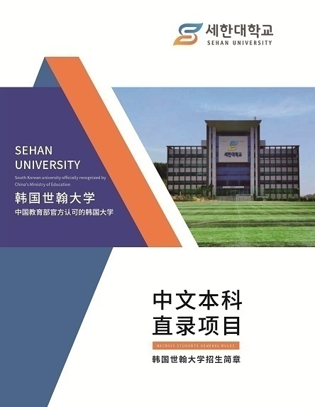 韩国中文本科直录项目